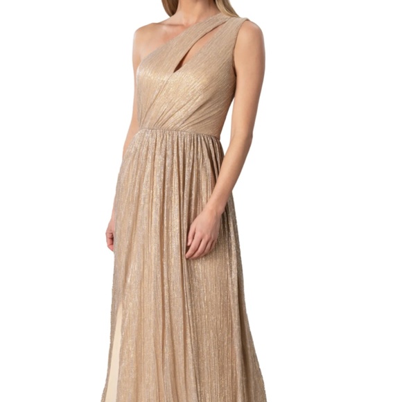 Aggregate 124+ nordstrom gold gown camera.edu.vn